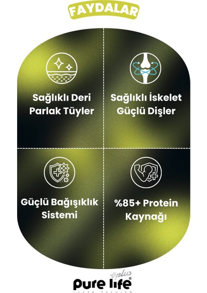 Purelife Plus Diş Dostu Köpek Atıştırmalıkları 80GR fırsatları