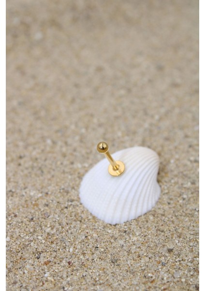 Piercing Cerrahi Çelik Piercing Kıkırdak Tragus Conch Helix Gold Renk Top Çap 2,50 mm Labret