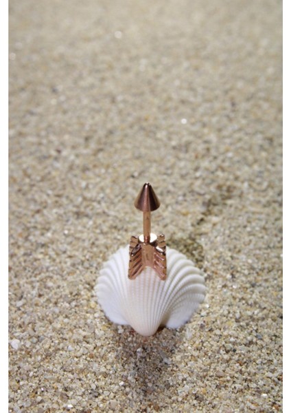 Piercing Cerrahi Çelik Piercing Kıkırdak Conch Helix Rose Renk Büyük Tüylü Ok