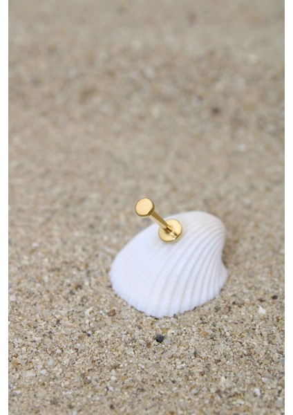 Piercing Cerrahi Çelik Piercing Kıkırdak Tragus Conch Helix Gold Renk 3 mm Disk Labret