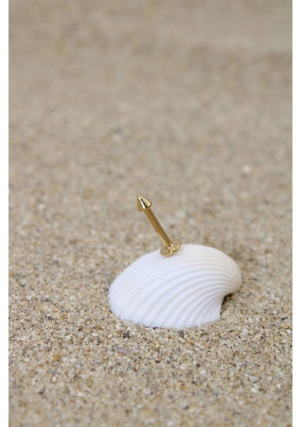 Piercing Cerrahi Çelik Piercing Kıkırdak Tragus Conch Helix Gold Renk Spayk Labret