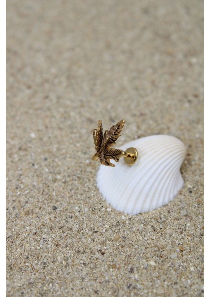 Piercing Cerrahi Çelik Piercing Kıkırdak Tragus Conch Helix Gold Renk Kıvrık Yaprak Labret fiyatları