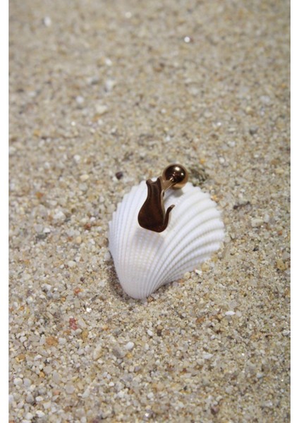 Piercing Cerrahi Çelik Piercing Kıkırdak Tragus Conch Helix Rose Renk Kedi Toplu