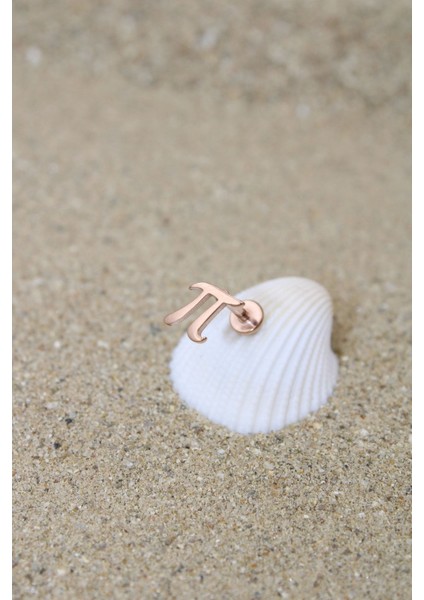 Piercing Cerrahi Çelik Piercing Kıkırdak Tragus Conch Helix Rose Renk Pi Sayısı Labret