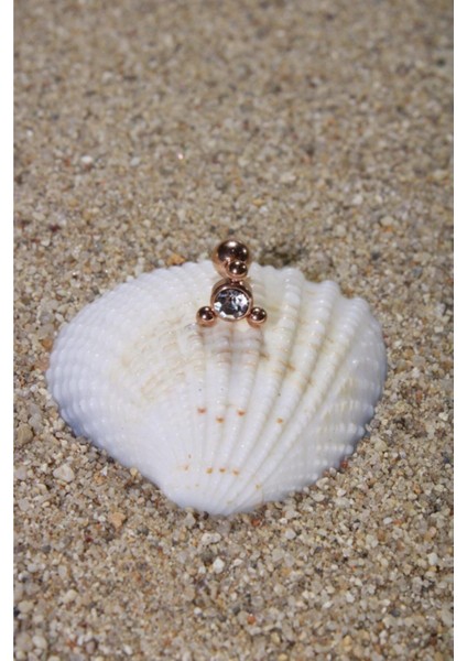 Piercing Cerrahi Çelik Piercing Zirkon Taşlı Kıkırdak Tragus Conch Helix Rose Renk Üç Top