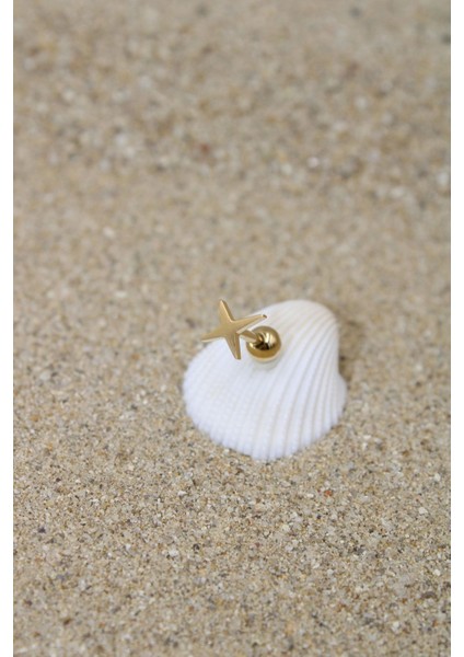 Piercing Cerrahi Çelik Piercing Kıkırdak Tragus Conch Helix Gold Renk Büyük Yıldız Toplu