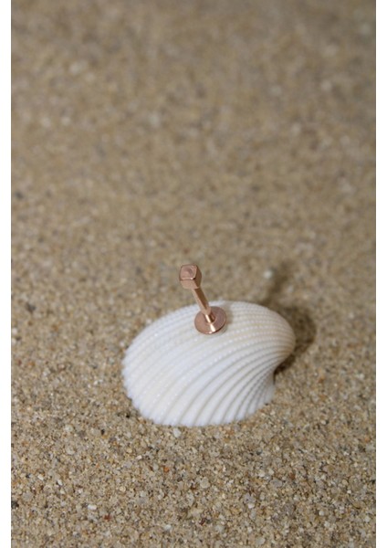 Piercing Cerrahi Çelik Piercing Kıkırdak Tragus Conch Helix Rose Renk Küp 2 mm Labret