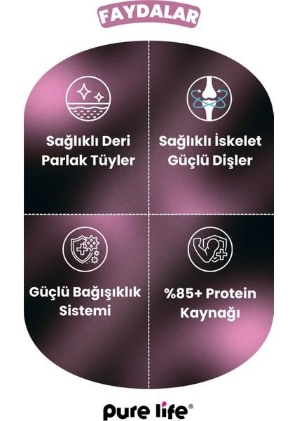 Purelife Pate Kuzu Etli Yetişkin Köpek Konserve Mama 400GR