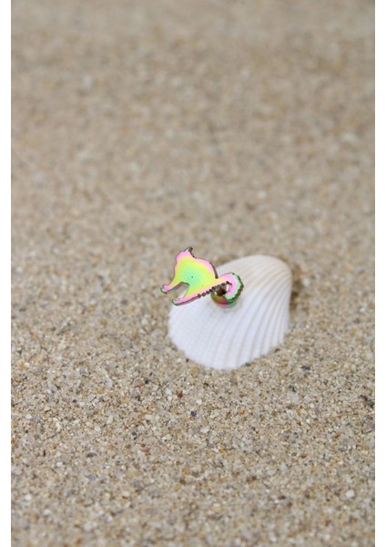 Piercing Cerrahi Çelik Piercing Kıkırdak Tragus Conch Helix Gökkuşağı Renk Kızgın Kedi