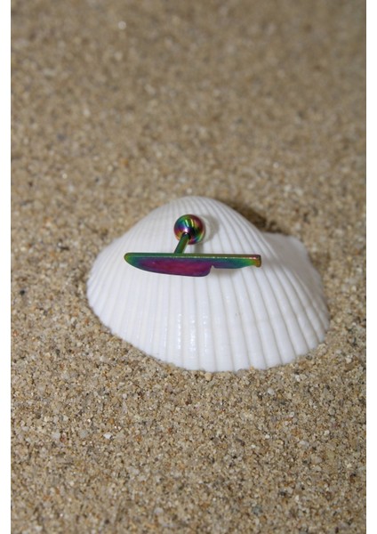 Piercing Cerrahi Çelik Piercing Kıkırdak Tragus Conch Helix Gökkuşağı Renk