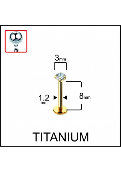 Yüksek Kalite G23 Titanyum Pırlanta Modeli Dudak Kıkırdak Helix Tragus Titanium Piercing