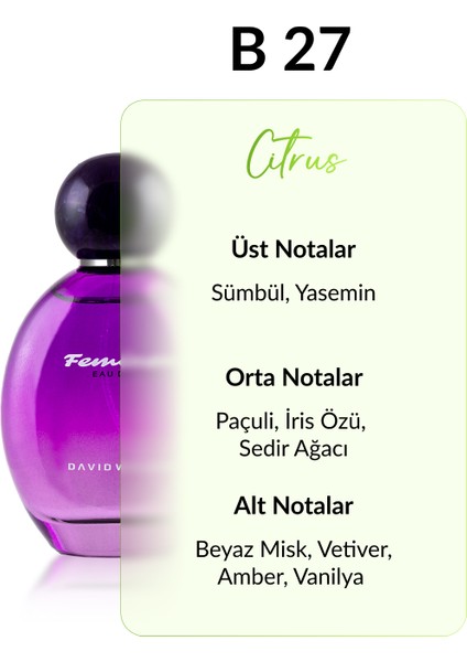 B27 Slaykur 100 ml Kadın Parfüm | Citrus fiyatları