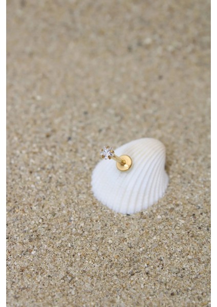 Piercing Cerrahi Çelik Piercing Zirkon Taşlı Kıkırdak Tragus Conch Helix Gold Renk Yıldız Labret