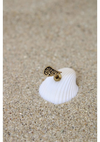 Piercing Cerrahi Çelik Piercing Kıkırdak Tragus Conch Helix Gold Renk Çizgili Kanat Labret