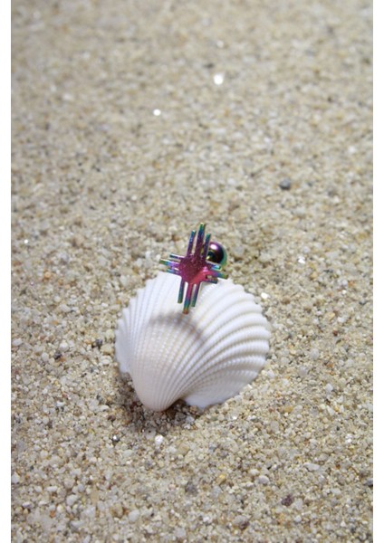 Piercing Cerrahi Çelik Piercing Kıkırdak Tragus Conch Helix Gökkuşağı Renk Kızılderili Güneşi