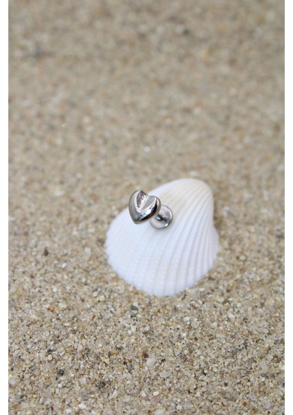 Piercing Cerrahi Çelik Piercing Kıkırdak Tragus Conch Helix Silver Renk Kalp Labret