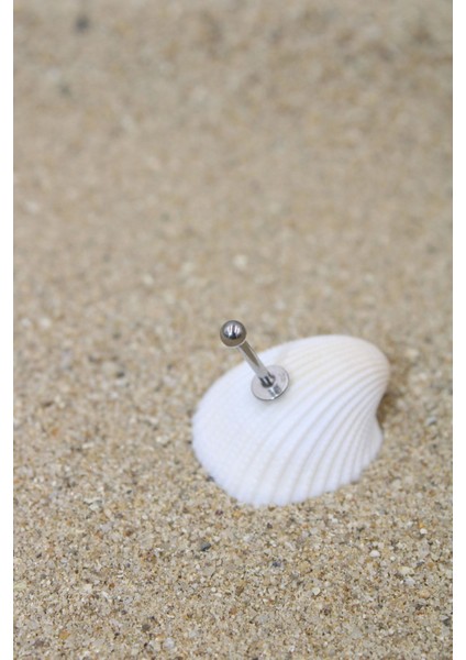 Piercing Cerrahi Çelik Piercing Kıkırdak Tragus Conch Helix Silver Renk Top Çap 2,50 mm Labret