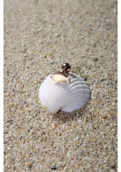 Piercing Cerrahi Çelik Piercing Kıkırdak Tragus Conch Helix Rose Renk Küçük Balık