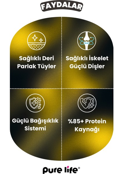 Purelife Pate Kuzulu Yavru Kedi Konserve Mama 400GR fırsatları