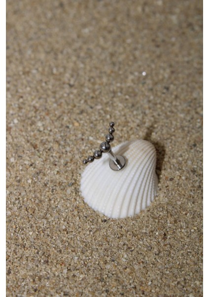 Piercing Cerrahi Çelik Piercing Kıkırdak Tragus Conch Helix Silver Renk Yedi Top Labret