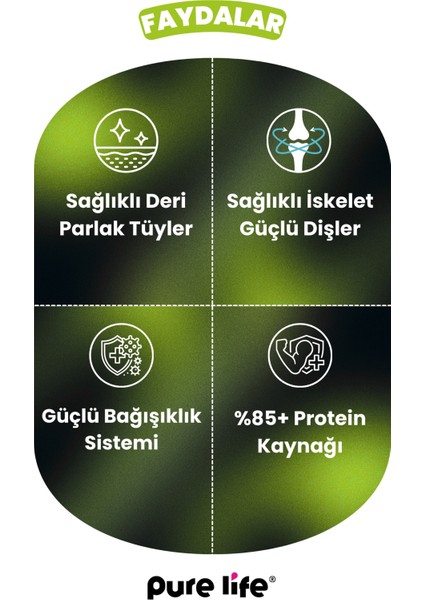 Purelife Pate Kuzu Etli Yavru Köpek Konserve Mama 400GR