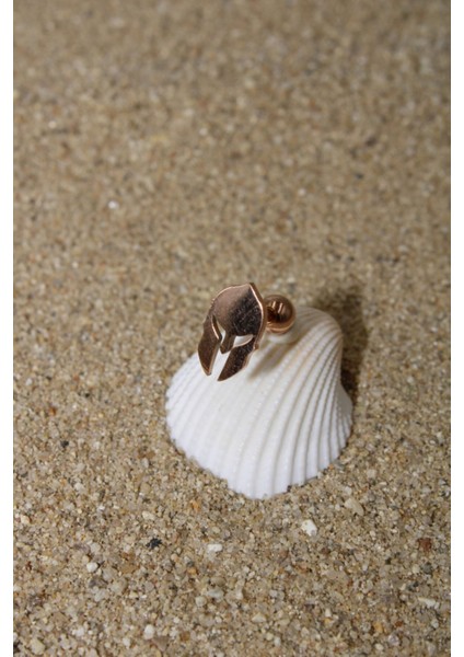 Piercing Cerrahi Çelik Piercing Kıkırdak Tragus Conch Helix Rose Renk Miğfer