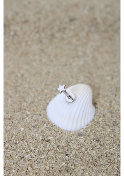 Piercing Cerrahi Çelik Piercing Kıkırdak Tragus Conch Helix Silver Renk 3 mm Yıldız Labret fiyatları