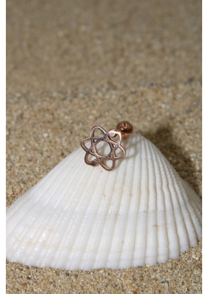 Piercing Cerrahi Çelik Piercing Kıkırdak Tragus Conch Helix Rose Renk Atom
