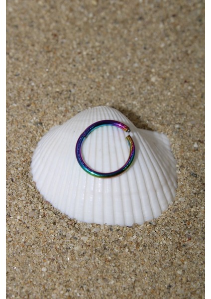 Piercing Cerrahi Çelik Piercing Klipsli Kıkırdak Septum Tragus Conch Helix Gökkuşağı Renk Klasik fiyatları