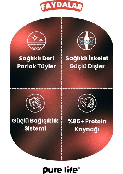 Purelife Pate Sığır Etli Yetişkin Köpek Konserve Mama 400GR fırsatları