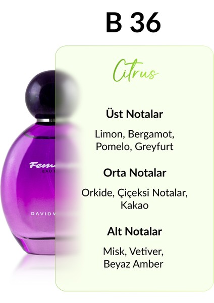 B36 Diospyros 100 ml Kadın Parfüm | Citrus-Fresh fiyatları