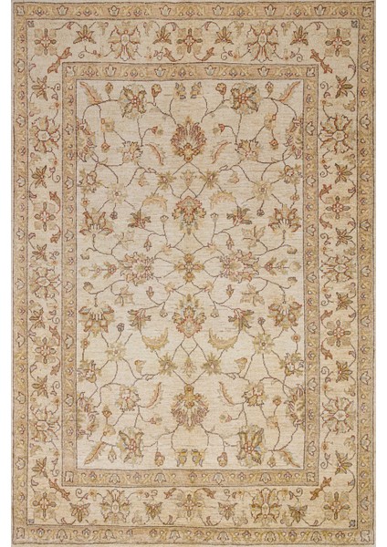 Krem Bordürlü Modern Etnik Desenli Halı | Makinada Yıkanabilir | Hav Toz Vermez | Leke Tutmayaz | Kaymaz Taban | Dijital Makine Baskı | Salon Yolluk Mutfak Halısı