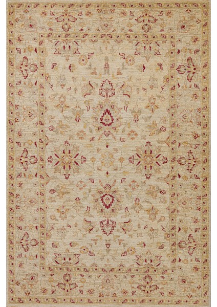 Krem Çiçekli Modern Etnik Desenli Halı | Makinada Yıkanabilir | Hav Toz Vermez | Leke Tutmayaz | Kaymaz Taban | Dijital Makine Baskı | Salon Yolluk Mutfak Halısı