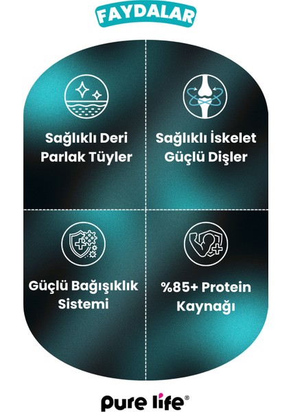 Purelife Pate Tavuk Etli Yetişkin Kedi Konserve Mama 400GR fırsatları