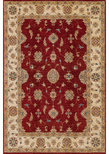 Bordo Bordürlü Modern Etnik Desenli Halı | Makinada Yıkanabilir | Hav Toz Vermez | Leke Tutmayaz | Kaymaz Taban | Dijital Makine Baskı | Salon Yolluk Mutfak Halısı