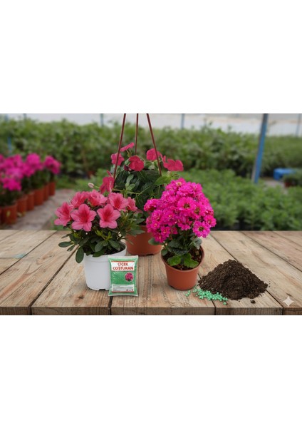 Evimin Baharı Seti | Sürekli Çiçekli & Rengi Koruyan Gelişkin Bitki Bakım Kiti | Özel Toprak Dahil