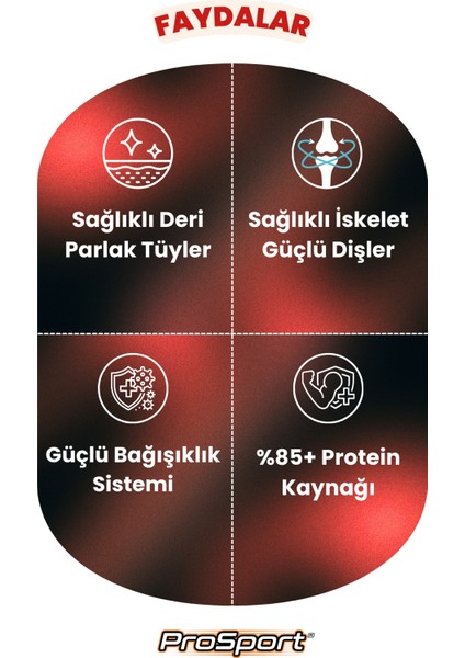 Prosport Biftekli Yetişkin Köpek Maması 15KG