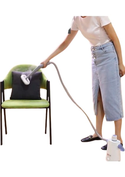 Profesyonel Buharlı Temizleyici, Güçlü ve Çok Renkli, Evin ve Ofisin Temizliği Için indirimleri