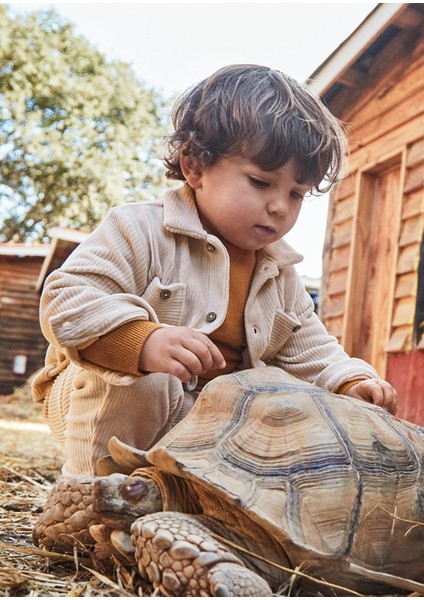 Bej Renk Örgü Pantolon Takım Gömlek (01-04 Yaş Arası Bedenler) - Bej fiyatları