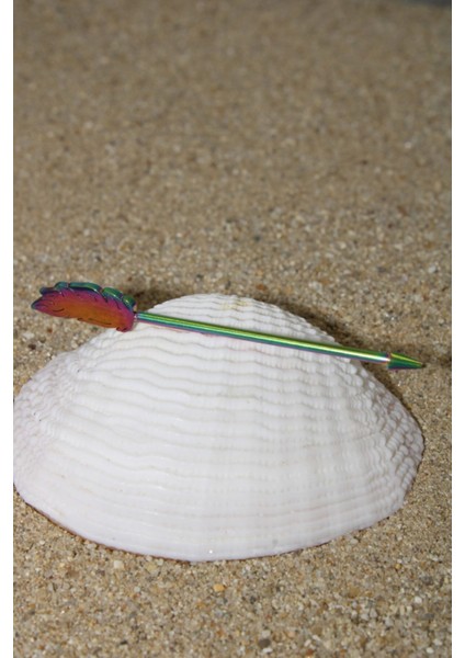 Piercing Köprü Piercing Cerrahi Çelik Gökkuşağı Renk Tüylü Ok Industrial Köprü