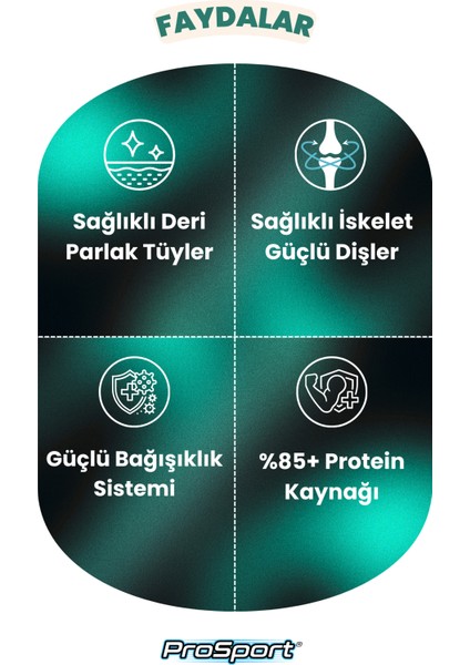 Prosport Chunk Kuzu Etli Yetişkin Kedi Konserve Mama 400GR fırsatları