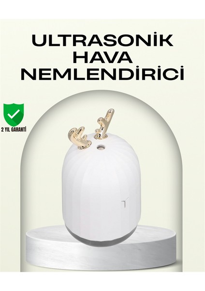 Allzey Abs+Pp Malzemeli Taşınabilir 220 ML USB Mist Nemlendirici