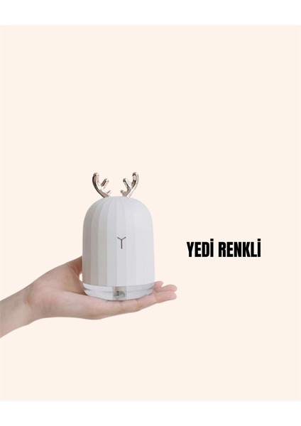 Allzey Abs+Pp Malzemeli Taşınabilir 220 ML USB Mist Nemlendirici fiyatları