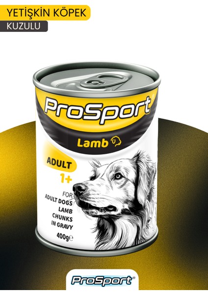 Prosport Chunk Kuzu Etli Yetişkin Köpek Konserve Mama 400GR modelleri