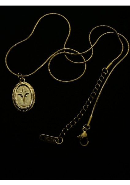 Altın Kaplama Çelik Zincirli Kuzey Yıldızı Kolye 45+5 cm fiyatları