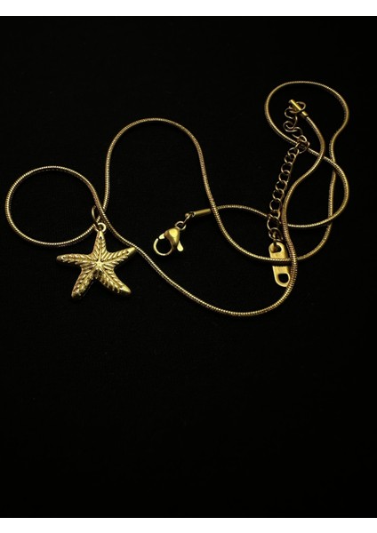 Altın Kaplama Çelik Zincirli Deniz Yıldızı Kolye 45+5 cm fiyatları