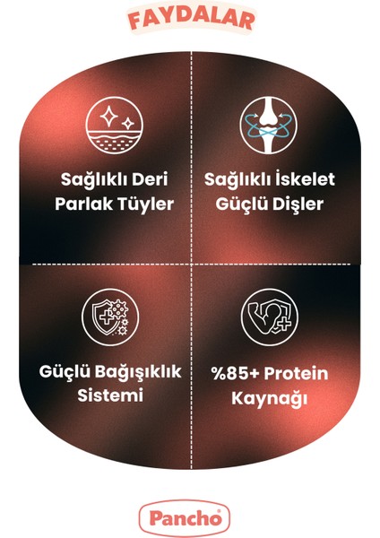 Pancho Somon Balık Etli Yetişkin Kedi Maması 15KG fiyatları