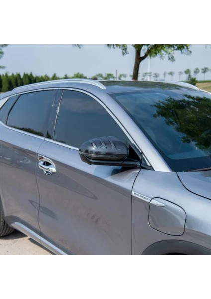 Byd Seal U Dm-I / Ev Modelleri Için Yan Dikiz Ayna Kapakları Abs Karbon Kaplama 2'li Set fırsatları