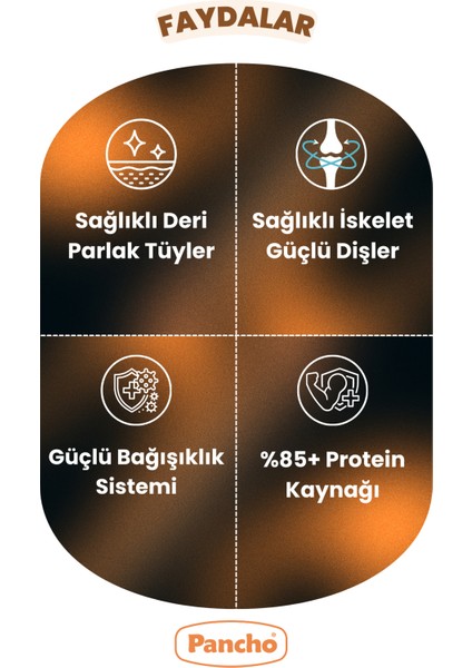 Pancho Renkli Yetişkin Kedi Maması 15KG fırsatları