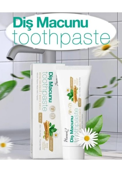Misvak Diş Macunu 75 ml